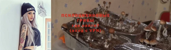 мяу мяу мука Мегион